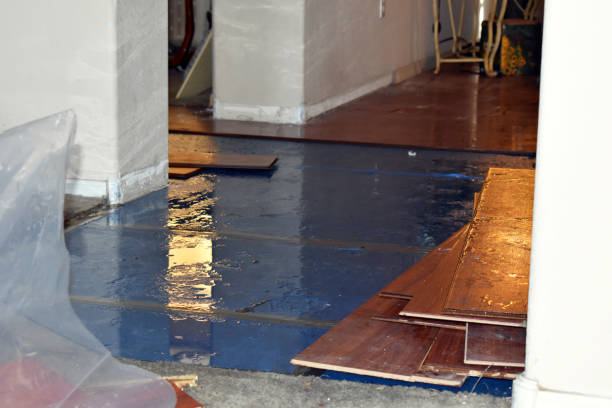 Professional Water Damage Restoration technician working in Woodville, CA